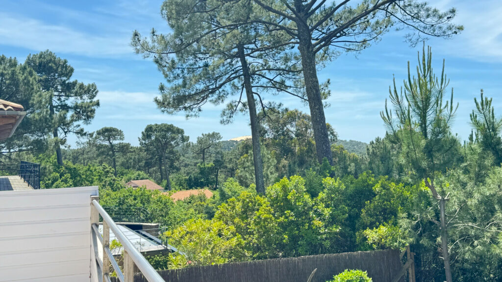  Immobilier & écologie : vers une nouvelle façon d’habiter